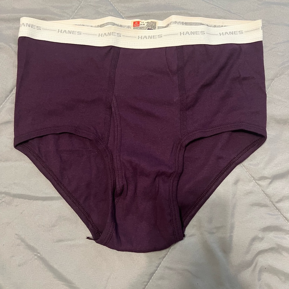 VINTAGE- 90s Hanes Classic Brief